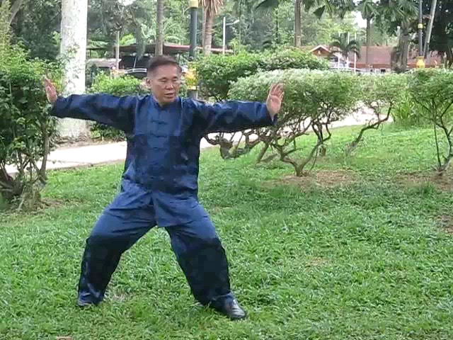 Wu Yu Xiang Style Taijiquan